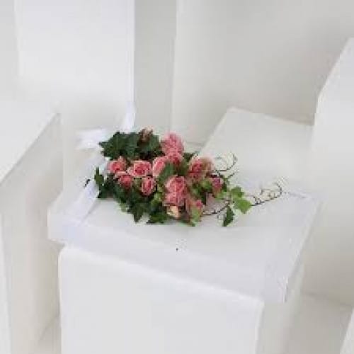 Gifted Girl Newborn Set & Roses Gifted Girl Newborn Set & Roses